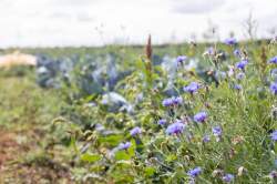 4329F3B2-BD90-46C6-ABC3-6F011AC25738