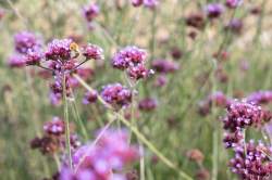 47DD74F1-8566-490C-8FBA-3D576BFE8259