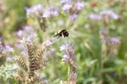 5ED53C42-3799-4808-91D9-34A9267E0997