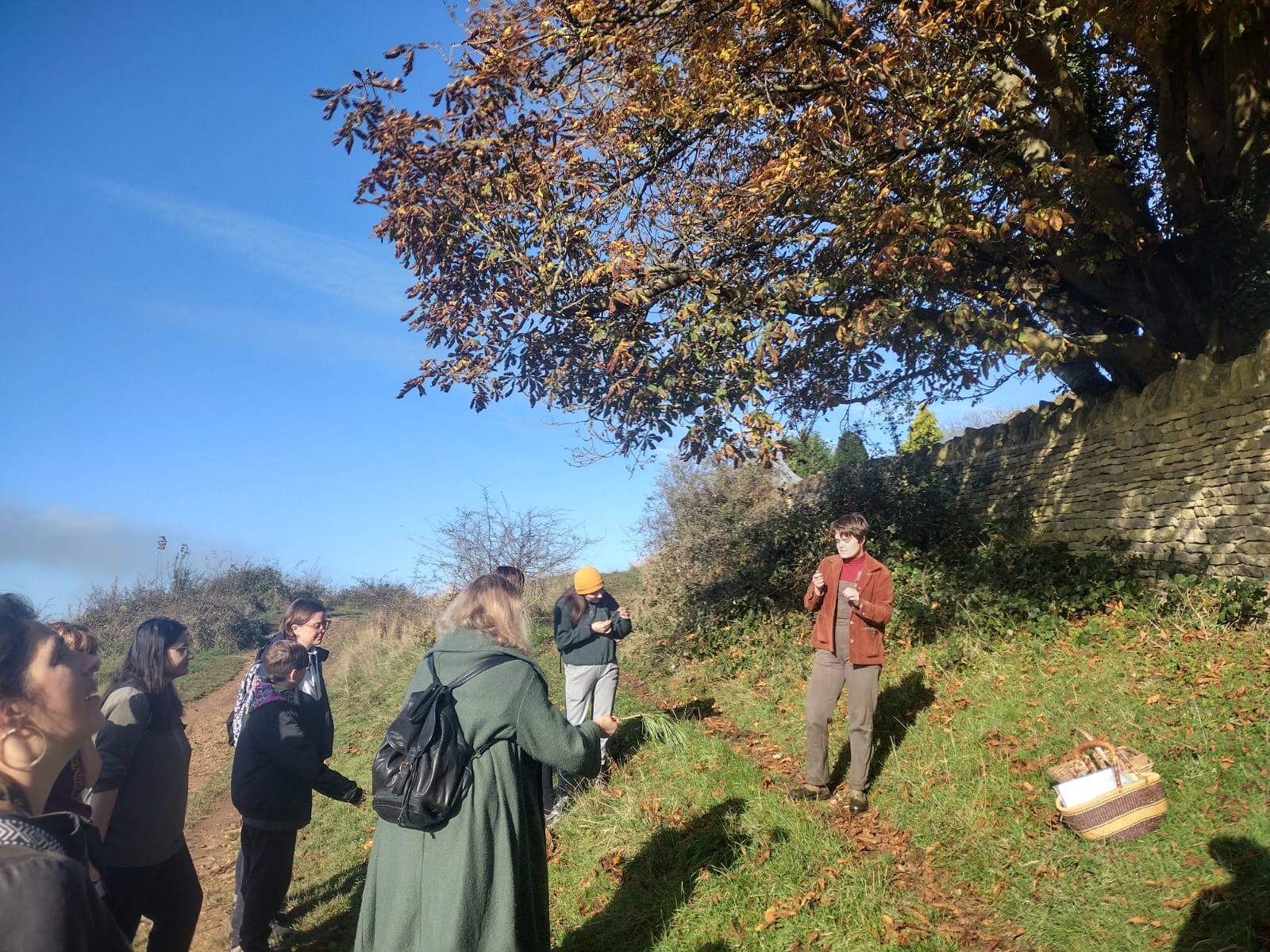 Wild Medicine Walk