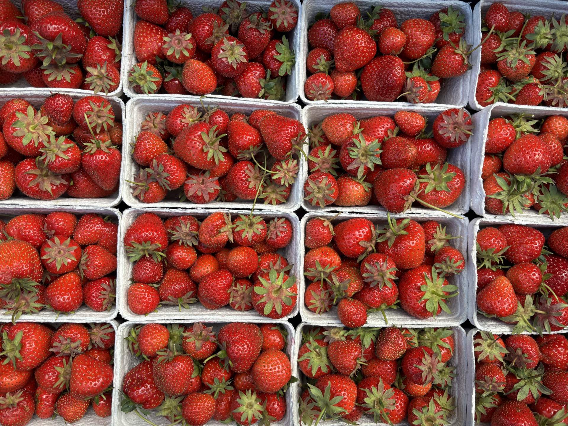 The Organic Farm Shop Cirencester