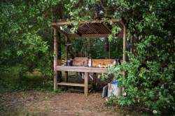 10305EFA-95D2-493F-B748-29D904C7663F_1_105_c