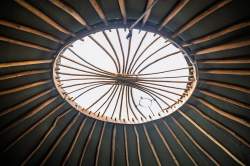 894C6255-3C89-440F-ABE6-270899297014_1_105_c