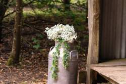 A94191E8-C7C5-490E-9A4E-AEF98E9B2D67_1_105_c