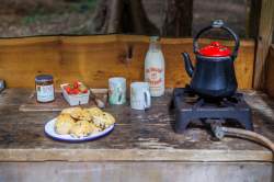 E53A4D4E-9D0C-4A34-976F-B06B3CCED824_1_105_c