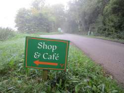 Shop & Cafe