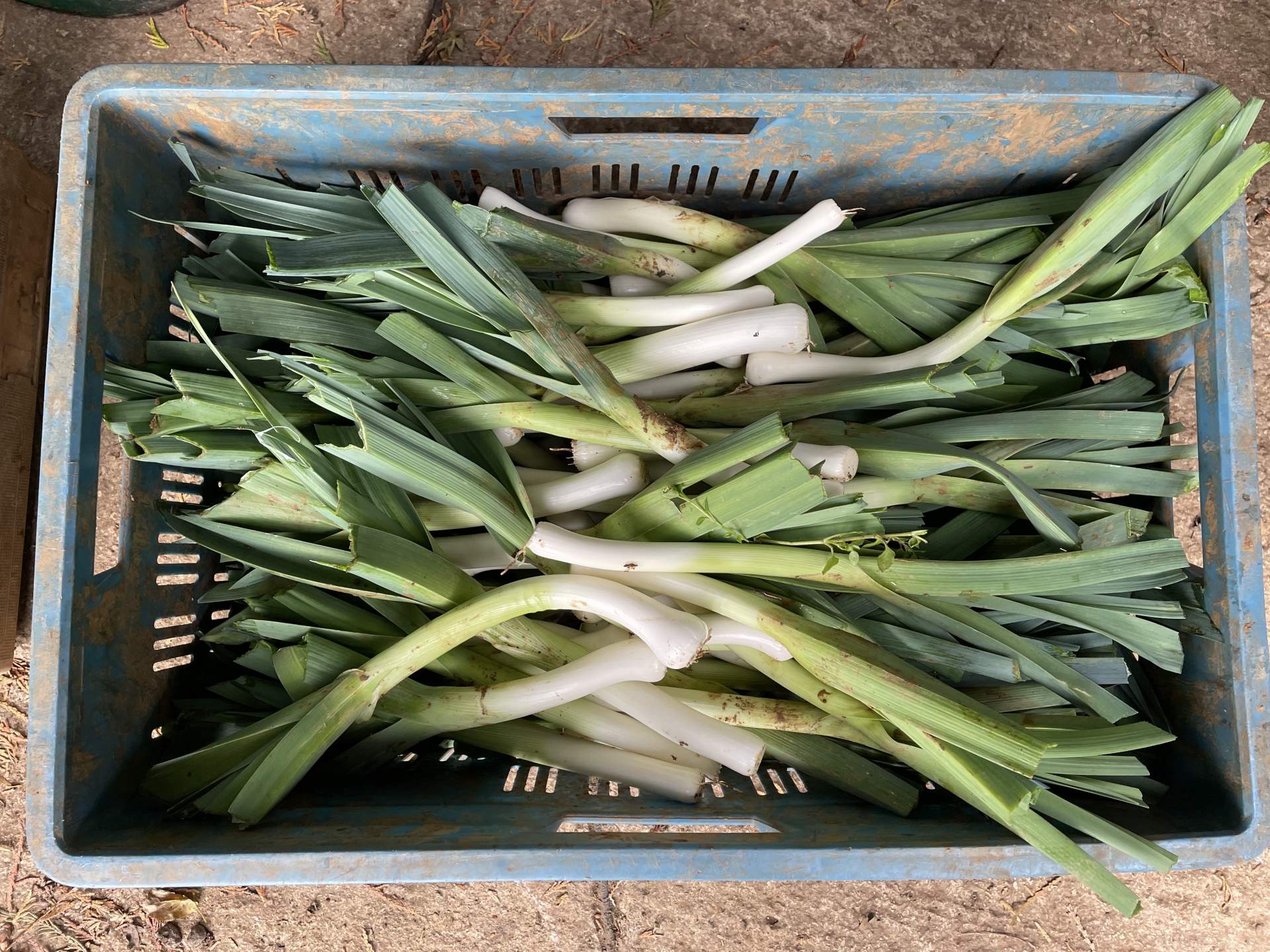 (c) Theorganicfarmshop.co.uk